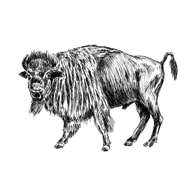 American Bison Print by rachelsfinelines