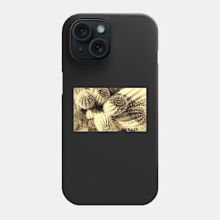 Cacti - photography Phone Case