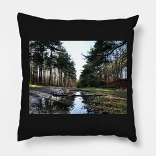 Reflection in Swinley Forest Pillow
