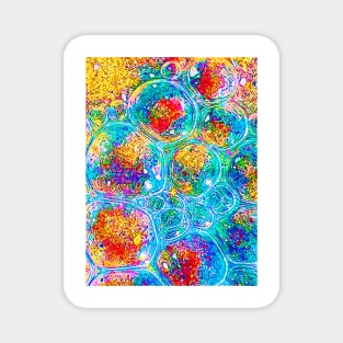 Bubble Kaleidoscope Magnet