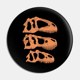 Giganotosaurus Tyrannosaurus Rex Allosaurus fossil skulls Pin