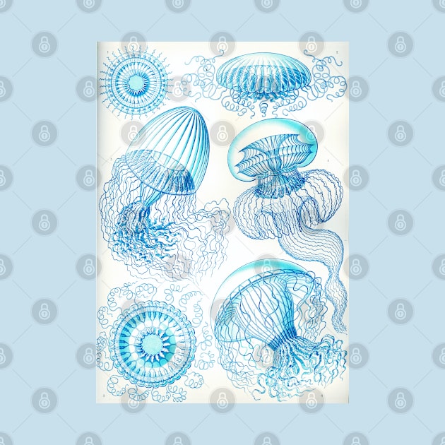 Jellyfish Vintage Botanical Illustration by codeclothes