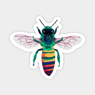 Rainbow Bee Portrait Magnet