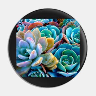 Cactus Pin