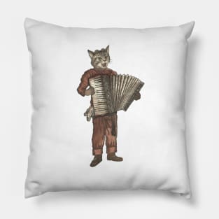 Accordion Cat with Goggles and Mask Pillow