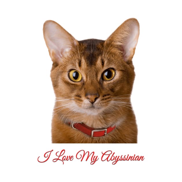 Abyssinian Cat T Shirt by Pam069