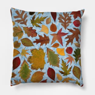 Autumn Sky Pillow