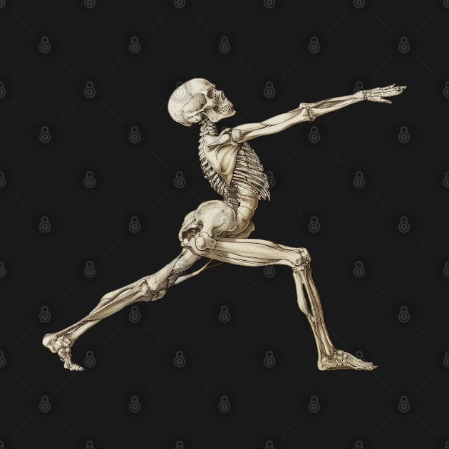 Skeleton Yoga by TooplesArt