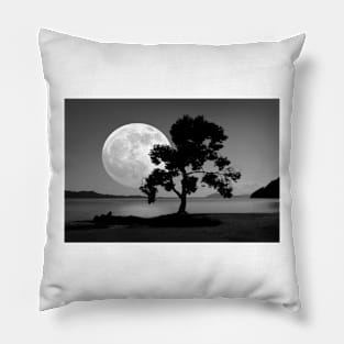 Moon rising over the sea (C011/4948) Pillow