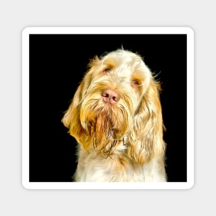 Head tilt Spinone Magnet