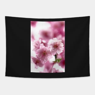 Double weeping cherry blossoms Tapestry