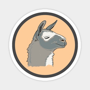 Cute muzzle of a gray llama Magnet