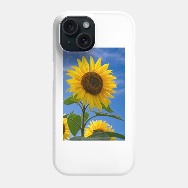 Sunflower Phone Case by MartynUK