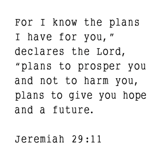 Jeremiah 29:11 T-Shirt