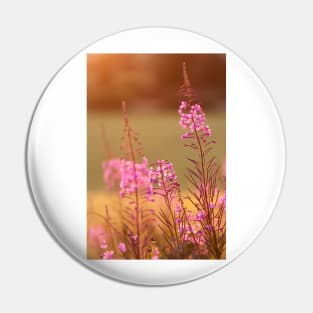 Great Willow-Herb Pin