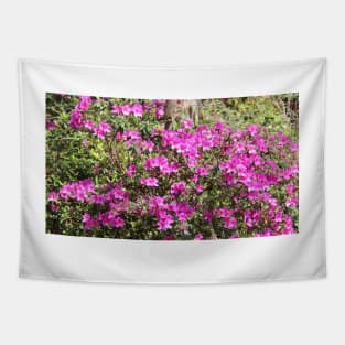 Pink Bushes Tapestry