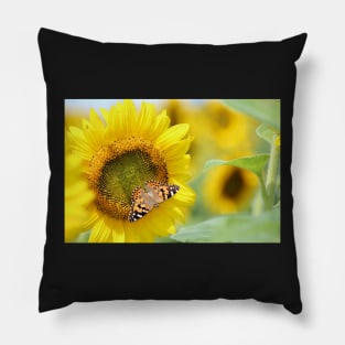 Quintessential country summer Pillow