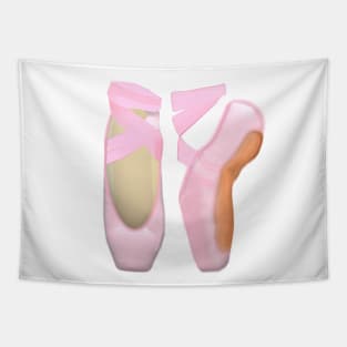 Ballerina Toe Shoes (White Background) Tapestry