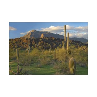 Saguaro Cacti Picacho Mountains Picacho Peak State Park T-Shirt