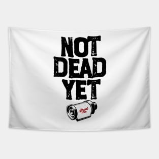 Film is not dead yet Tapestry