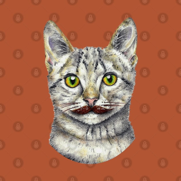 Mr. Cat by pedropapelotijera