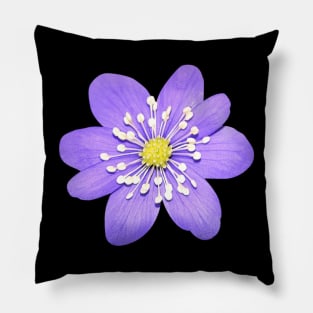 Cute Hepatica Violet Flower Pillow