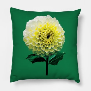 Dahlia Mulloys Moment Pillow