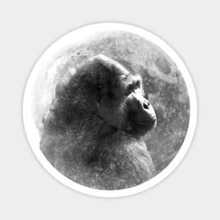 Gorilla Moon Magnet