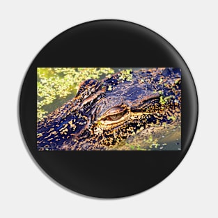 Florida Alligator Pin