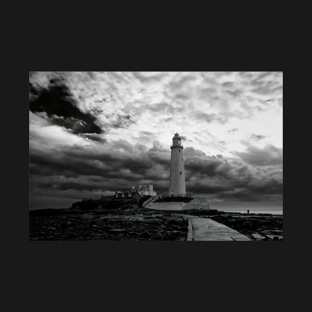 St Mary's Island in Black and White by Violaman