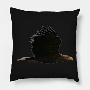 White tailed Eagle Pillow