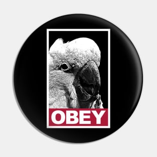 Obey the Cockatoo Pin