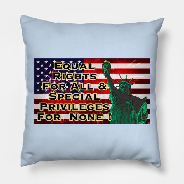 Equal Rights For All! Pillow by JEAndersonArt