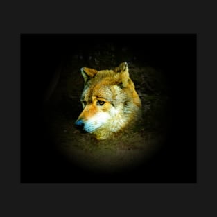 Wolf portrait T-Shirt