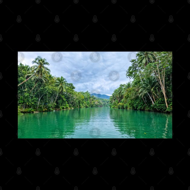 Loboc River, Bohol, Philippines by Upbeat Traveler