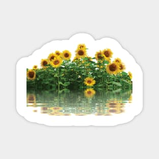 Aquatic Sunflower Garden Magnet