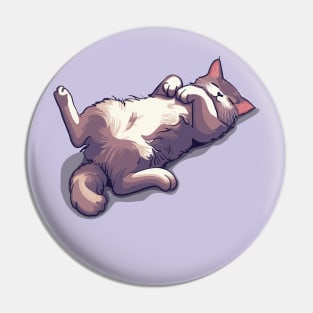 Lazy Day Cat Pin