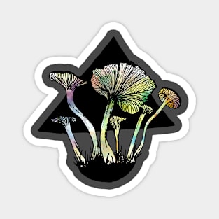 Funnel Chantarelles Magnet