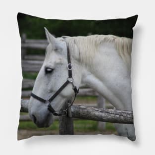 White Horse Pillow