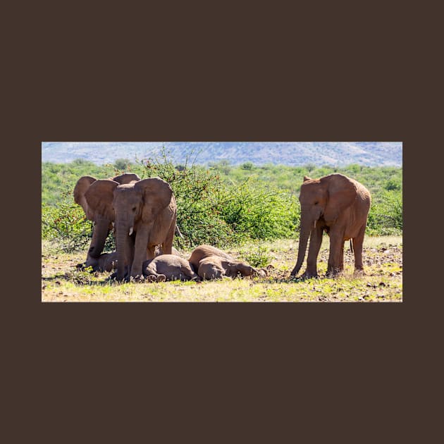 Elephants with babies. by sma1050