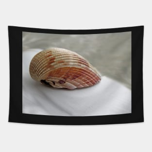 Shell On Board Tapestry