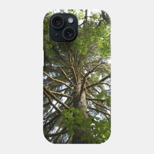 Mossy Tree Nature Photography Pacific Northwest Phone Case