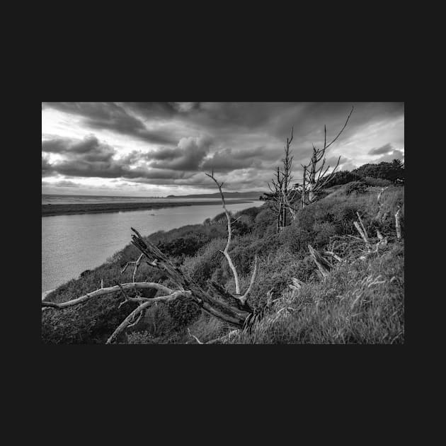 Stormy Day at the Mouth of the River by JeffreySchwartz