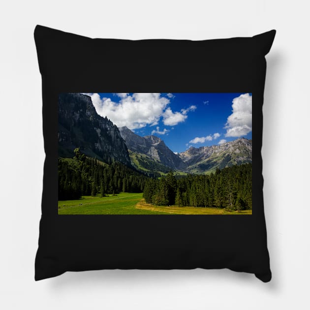 At Engleberg Pillow by charlesk