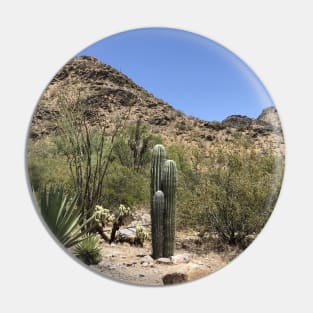 Arizona desert Pin