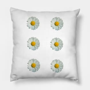 Six white daisies Pillow