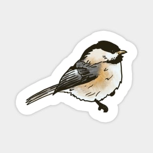 Black-capped Chickadee Magnet