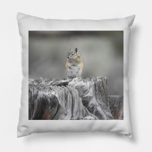 Alpine chipmunk, wildlife, gifts, cute as can be Pillow