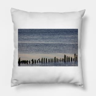 Wooden stumps in the River Clyde, Scotland Pillow