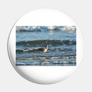 Black-tailed godwit Pin